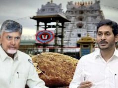 ‘तिरुपती लाडूमध्ये चरबी’ सीएम नायडूंच्या आरोपांविरोधात YSRCPची न्यायालयात धाव