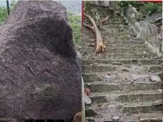 बमलेश्वरी पहाडावर कुदरतचा कहर: पहिल्यांदाच कोसळली भीषण चट्टाण, झाडांचे आणि रस्त्याचे मोठे नुकसान