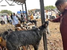 आवाहन :- टेमुर्डा बकरी बाजार लिलावाबाबत ग्रामपंचायत ची जाहीर नोटीस प्रसिद्ध