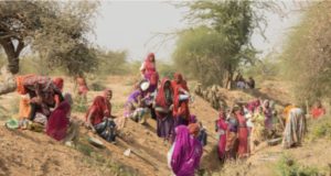 दखलपात्र :- चंद्रपूर जिल्ह्यातील बोगस मजूर सेवा सहकारी संस्थावर होणार कारवाई?