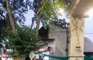 जनता कॉलेज चौकातील मित्र परिवारांचा सामाजिक उपक्रम